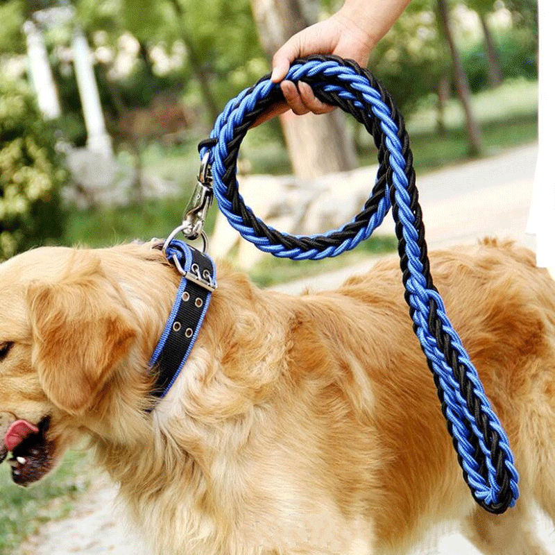 Handmade Braided Nylon Dog Leash Set