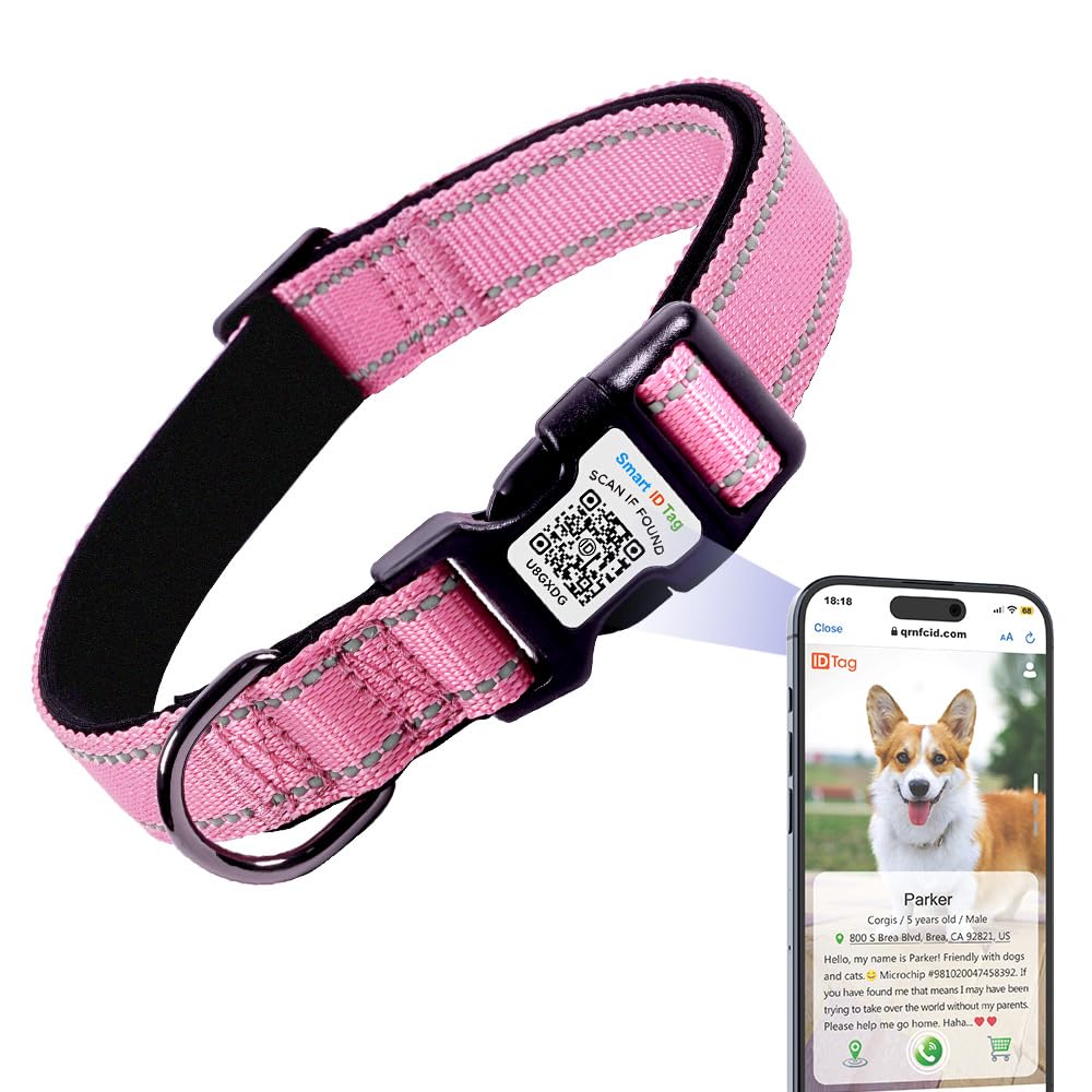 Personalized QR Code Dog Collar – Reflective