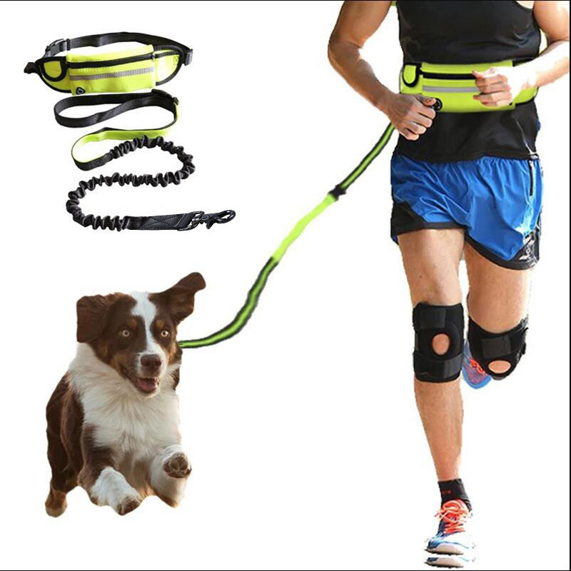 Hands-Free Bungee Dog Leash – Reflective Running Belt