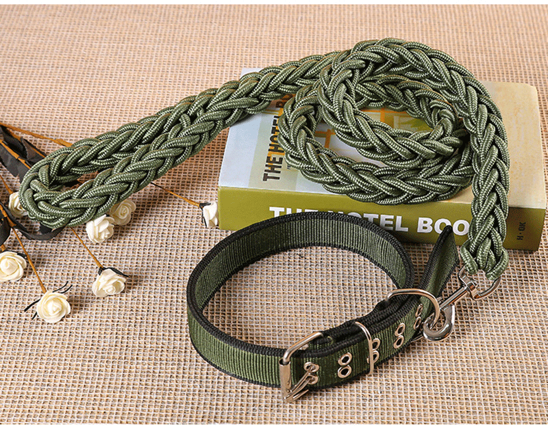 Handmade Braided Nylon Dog Leash Set