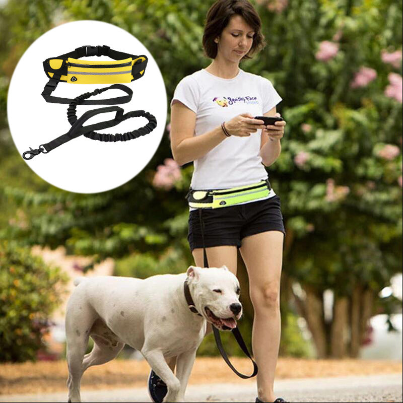 Hands-Free Bungee Dog Leash – Reflective Running Belt