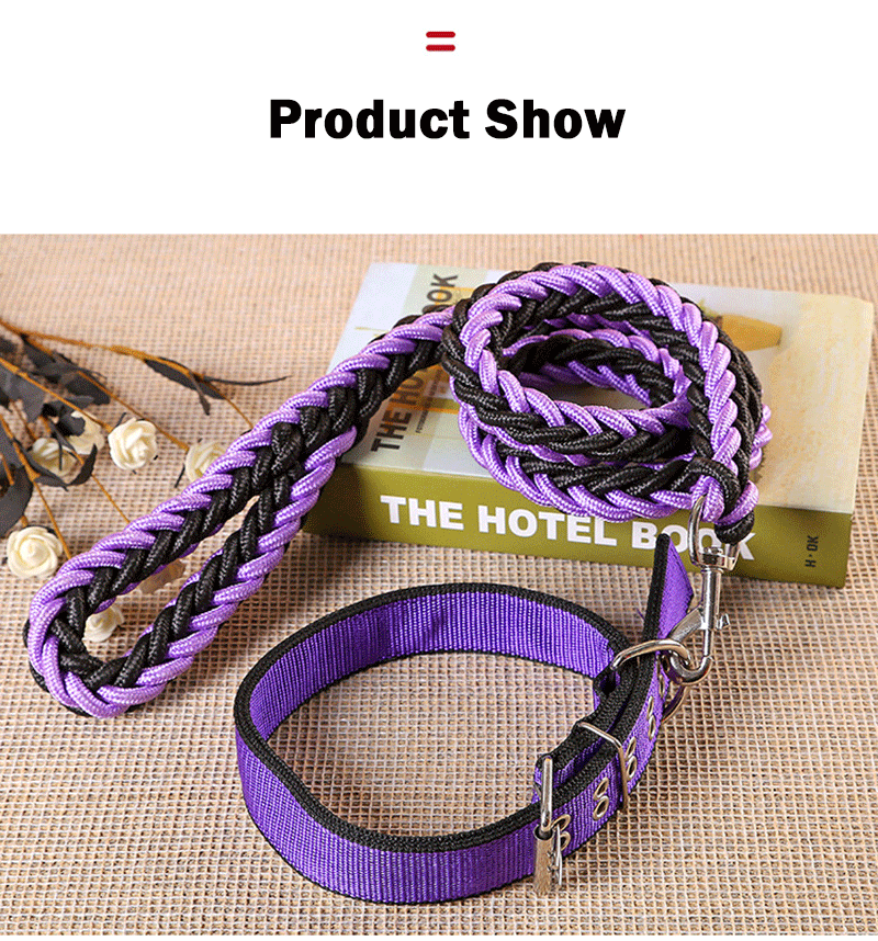 Handmade Braided Nylon Dog Leash Set