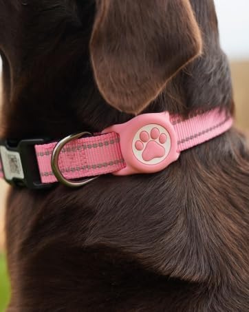 Personalized QR Code Dog Collar – Reflective