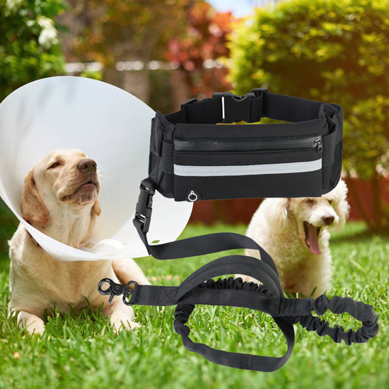 Hands-Free Bungee Dog Leash – Reflective Running Belt