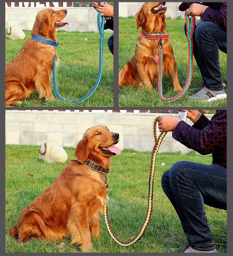 Handmade Braided Nylon Dog Leash Set