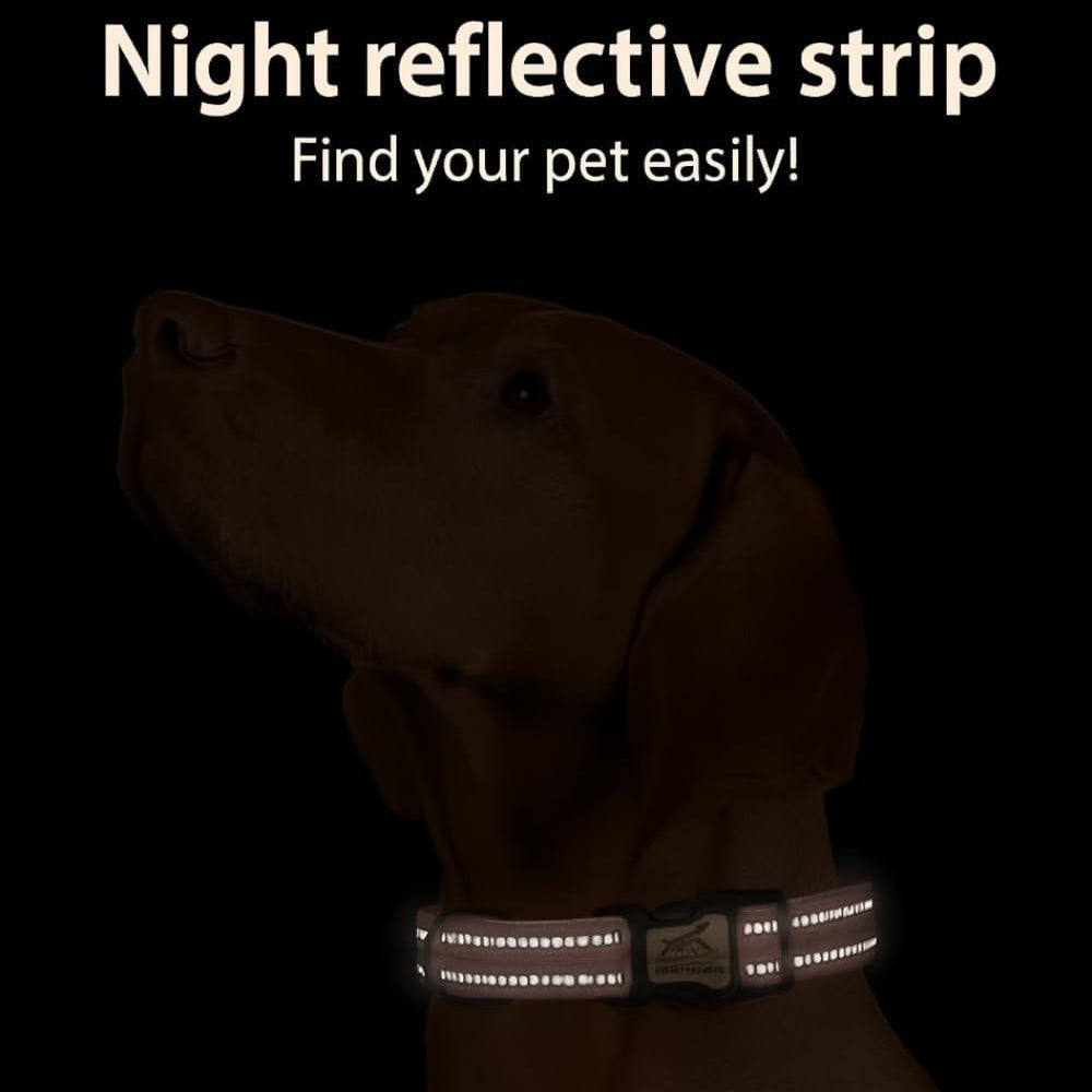 Personalized QR Code Dog Collar – Reflective