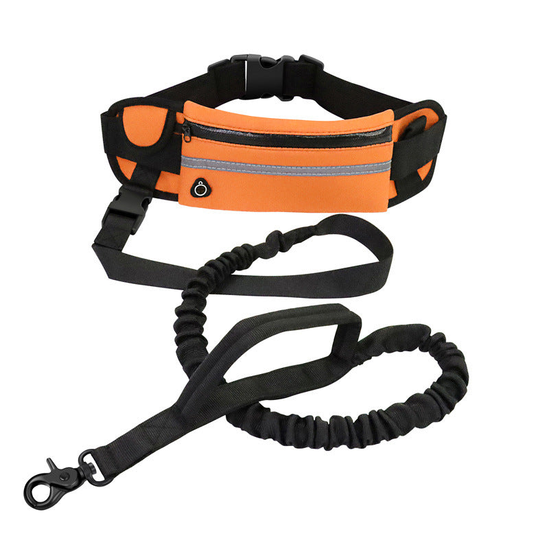 Hands-Free Bungee Dog Leash – Reflective Running Belt