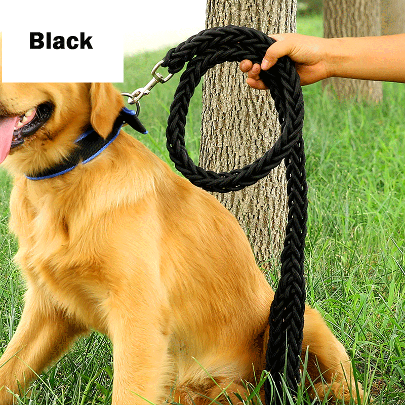 Handmade Braided Nylon Dog Leash Set