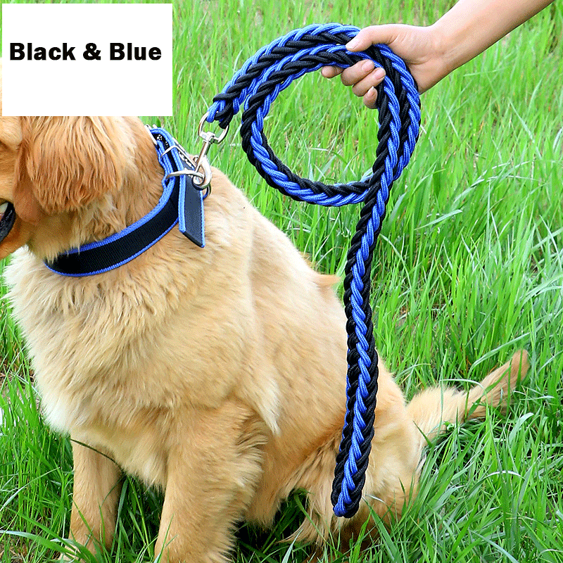 Handmade Braided Nylon Dog Leash Set