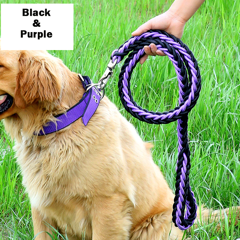 Handmade Braided Nylon Dog Leash Set