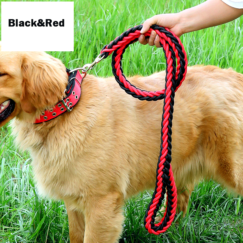 Handmade Braided Nylon Dog Leash Set