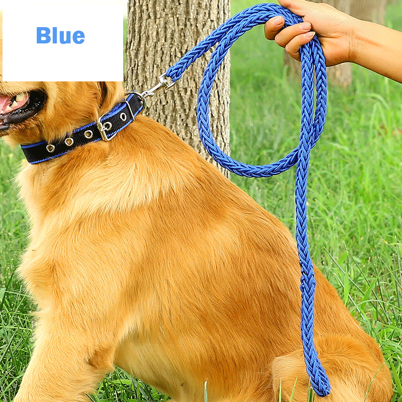 Handmade Braided Nylon Dog Leash Set