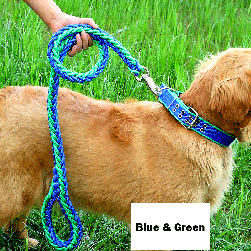 Handmade Braided Nylon Dog Leash Set