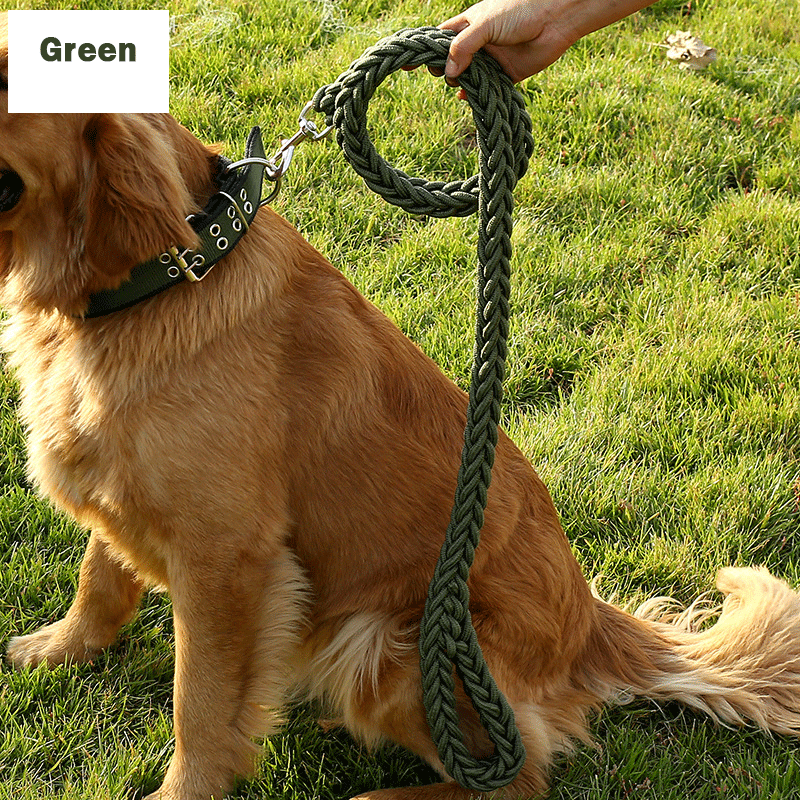 Handmade Braided Nylon Dog Leash Set