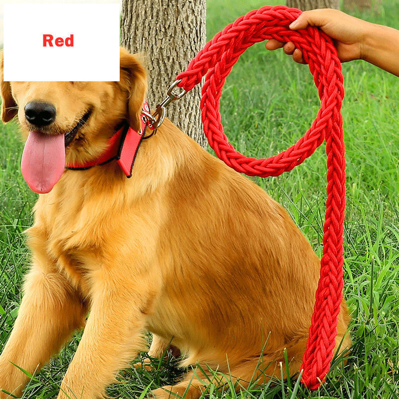 Handmade Braided Nylon Dog Leash Set