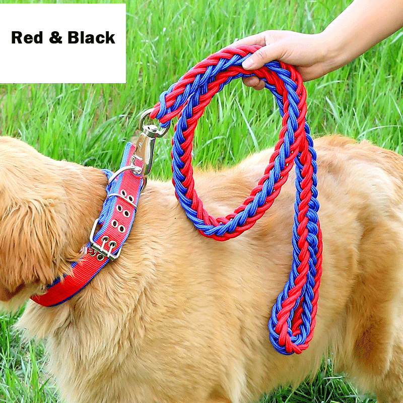 Handmade Braided Nylon Dog Leash Set