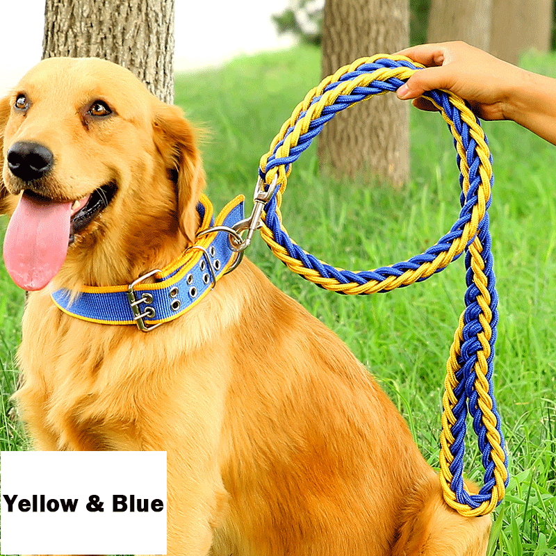 Handmade Braided Nylon Dog Leash Set