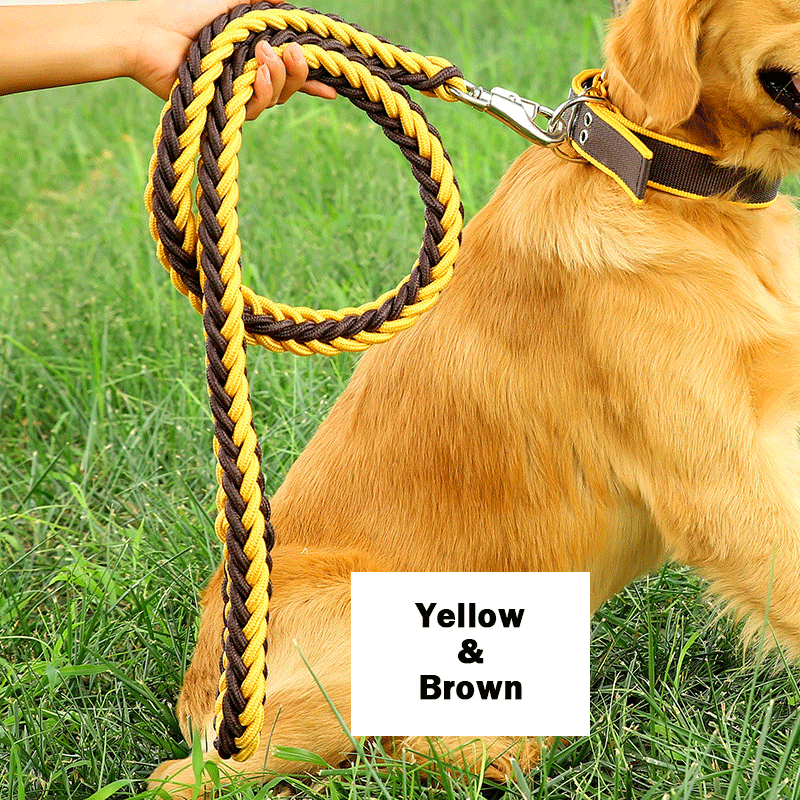 Handmade Braided Nylon Dog Leash Set